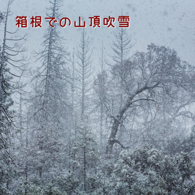 箱根神社の吹雪の画像