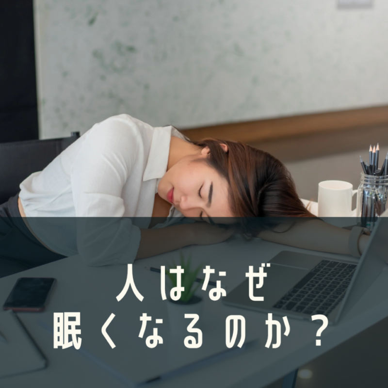 人はなぜ眠くなるのか？の画像