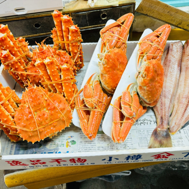 北海道旅行記4 最終章の画像